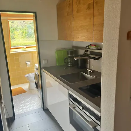 Maisonette-apartment Mit Sauna Und Garage Auf 1000 Hoehenmetern Im Schwarzwald * Schoenwald im Schwarzwald