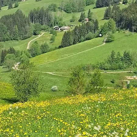 Maisonette-apartment Mit Sauna Und Garage Auf 1000 Hoehenmetern Im Schwarzwald *